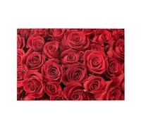 Personalized Picture Puzzles For Adults 1000 Piece, Red Rose Jigsaw Puzzles For Adults 1000 Piece Puzzle Educational Games Or Toys For Elders Children Family Friends