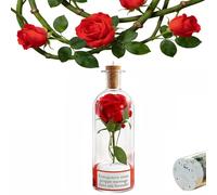 Personalized Rose Message in a Bottle - Recordable Voice Love Gift with Playback Cork Romantic Keepsake for Him & Her Elegant Valentine Decor with Heartfelt Memories
