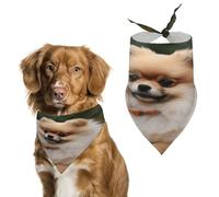 Personalized Short Haired Pomeranian Dog Dog Bandanas Washable Cute Soft Cat Dogs Scarf Pet Bandanas Kerchief Adjustable Triangle Bibs Scarf for Small Medium Large Dogs Puppy Cats & Gifts