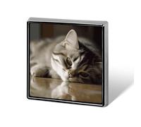 Personalized Sleeping Cat Lapel Pin for Men Women Cute Funny Square Brooch for Ease And Safe Aluminum Alloy Brooches Suit Dress Accessories Wedding Party