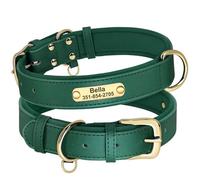 Personalized Soft Padded PU Leather With Name Phone Number Tag Dog Collar Suitable For Small And Medium Dog Pit Bulldog,Green,XL
