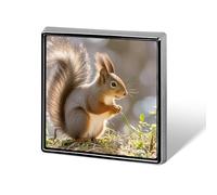 Personalized Squirrel Animal Lapel Pin for Men Women Cute Funny Square Brooch for Ease And Safe Aluminum Alloy Brooches Suit Dress Accessories Wedding Party