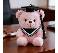 Personalized Teddy Bear 2026 Graduation Gift for Her, Plush Teddy in Graduation Cap & Gown, Graduations Gift for University College, Keepsake for Him Her Classmates Friends Family (Pink)