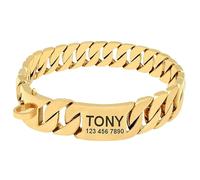 Personalized Titanium Steel Dog Chain Collar with Safety Clasp Bully Dog Fighting Dog Collar - Personalized anti-chewing, anti-loss, waterproof metal collar for large, medium and small dogs