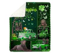 Personalized To My Granddaughter Blanket From Grandma Sometimes It's Hard Lion Granddaughter Gift Birthday Graduation Christmas Customized Fleece Blanket