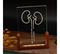 Personalized Urologist LED Acrylic Plaque - Custom Engraved Kidney Design with Name - Wooden Base Lighted Desk Decor for Urology Doctors, Medical Professionals, Graduation Gift, Office