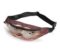 Personalized Waist Packs with Adjustable Strap,Pomeranians Puppies and Point Crossbody Fanny Pack Casual Bag for Travel Sports Running Hiking