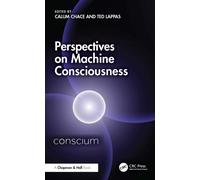 Perspectives on Machine Consciousness