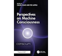 Perspectives on Machine Consciousness