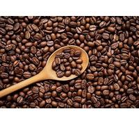 Peruvian Arabica Coffee Beans 2Kg | Medium Roast with Smooth, Fruity & Citrus Notes | Premium Freshly Roasted Coffee