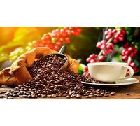 Peruvian Coffee Beans 1Kg | Smooth Fruity Arabica | Medium Roast with Citrus Notes | Premium Freshly Roasted Coffee