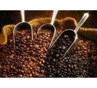 Peruvian Coffee Beans 2Kg | Smooth Fruity Arabica | Medium Roast with Citrus Notes | Premium Freshly Roasted Coffee