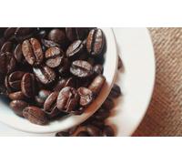 Peruvian Coffee Beans 500g | Smooth Fruity Arabica | Medium Roast with Citrus Notes | Premium Freshly Roasted Coffee
