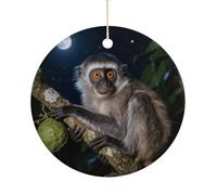 Peruvian Night Monkey Ceramic Christmas Ornaments with Gold String - Personalized Double-Sided 2.9 Inch Xmas Tree Decorations, Rustic Winter Hanging Ornaments for Holiday Party Gift