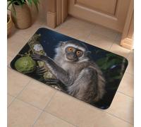 Peruvian Night Monkey Front Door Mat, Heavy Duty Bathroom Rugs Durable Welcome Mat for Outdoor Indoor, Super Absorbent Bath Rugs for Entryway Outside Patio Porch, 40x60cm