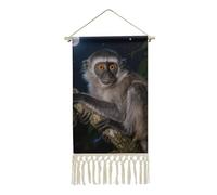 Peruvian Night Monkey Poster Hanger Frame, Long Vertical Wall Hanging Vintage Tapestry with Tassel, Room Decor, Hanging Cotton Linen Framed Wall Art Decor for Home, 10x19.6 Inch