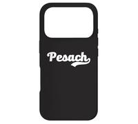 Pesach Passover Seder Hebrew God Jewish Holiday Jews Exodus Case for iPhone 17 Pro