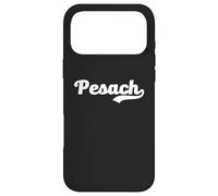 Pesach Passover Seder Hebrew God Jewish Holiday Jews Exodus Case for iPhone 17 Pro Max
