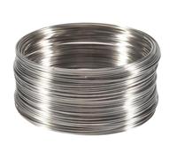 Pesfehhy 100Loops Memory Beading Wire for Bracelet 50mm-55mm(2 inch-2 1/8 inch) Dia