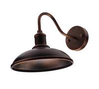 Pesfehhy LED Gooseneck Barn Light Outdoor Wall Lamp Front Porch Farmhouse Fixture Garden Lights for Indoor Outdoor Use B
