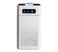 Pesfehhy Portable Air Purifier Ionizer Negative Ion Generator Smoke Odor Removal Hepa Filter Car Air Freshener