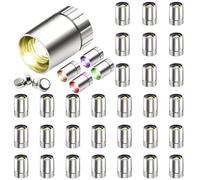 Pesoncarl Miniature LED Lights for Craft 30Pcs Colorful Slow Flashing Dollhouse Lights 0.6x0.4 Plated Cylindrical Battery Powered DIY Dollhouse Lighting Party Favour