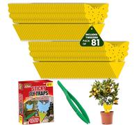 PEST GUARD Fruit Fly Traps Includes Tweezers 81 Pack Double Sided Fungus Gnat Sticky Catcher Fly Catcher for Indoor Outdoor Plants Fruits Non Toxic UV & Water Resistant (Pack of 81)