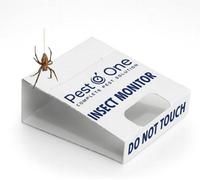 Pest O One Spider And Crawling Insect Sticky Pads Non Toxic Indoor Spider Catcher Safe Sticky Trap For Spiders Ants And Silverfish X 6