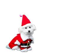 Pet 3D Christmas Santa Hat and Costume Set, Dog Clothes Transformation Outfit, Christmas Pet Apparel, Festive Pet Clothing (XL)