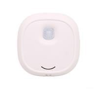 Pet Air Cleaner With Negative Ion Functionality, Engineered For Placement Near Cat Litter Boxes And Pet Rest Areas