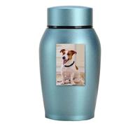 Pet and Human Cremation Urn - Compact Stainless Steel Cremation Memorial Canister, Sealed Durable Container for Dogs, Cats, Loved Ones | Elegant Lightweight Storage Box for Funeral Keepsakes