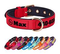 PET ARTIST Colorful Personalised Dog Collars with Large Name & Number, Soft Padded Nylon Dog Collar, Waterproof & Durable & Lightweight for Small Medium Dogs,Red,M