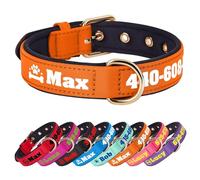 PET ARTIST Colorful Personalised Dog Collars with Large Name & Number, Soft Padded Nylon Dog Collar, Waterproof & Durable & Lightweight for Small Medium Dogs,Orange,M