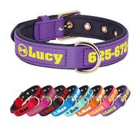 PET ARTIST Colorful Personalised Dog Collars with Large Name & Number, Soft Padded Nylon Dog Collar, Waterproof & Durable & Lightweight for Small Medium Dogs,Purple,M
