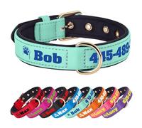 PET ARTIST Colorful Personalised Dog Collars with Large Name & Number, Soft Padded Nylon Dog Collar, Waterproof & Durable & Lightweight for Small Medium Dogs,Green,M