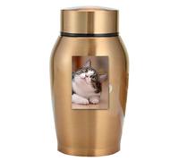 Pet Ash Urn - Keepsake Containers, Stainless Capsules | Large Capacity Metal Containers for Pets, Dog Tribute Space, Cat Loss Keepsake, Animal Cremation Storage, and Home Memorial