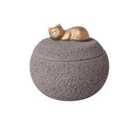 Pet Ashes Box - Memorial Urns Dog, Smooth Keepsakes Container, Commemorative Puppy Remembrance, Funeral Death Memory | Loss Cats Casket Sympathy Gift Decorative Burial Case Wooden Spirit