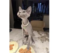 Pet Beautiful Necklace, Teddy Adjustable Collar,Pet Double Row Pearl Collar for Cat and small Dog for party,birthday (emerald, S(20-25cm/7.8''-9.8''))
