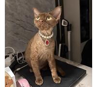 Pet Beautiful Necklace, Teddy Adjustable Collar,Pet Double Row Pearl Collar for Cat and small Dog for party,birthday (Ruby, S(20-25cm/7.8''-9.8''))