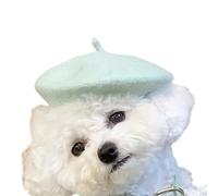 Pet Berets Hat with Unique Design Enhancing Pet Personality for Social Media Photo and Various Event Gathering Wool Hat for Dog Cats