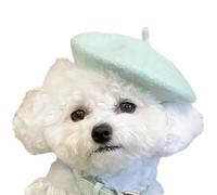 Pet Berets Hat with Unique Design for City Walking, Mint Green