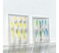 Pet Bird Feather Keepsake Display Box, High-Definition Memorial Box to Preserve the Warmth of Your Pet, for Budgerigars, Cockatiels, Lovebirds, and Various Other Bird Feather Collections