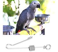 Pet Bird Flying Training Stainl Steel Foot Chain Anklet Rd Gets to the ring. Foot Chain Foot RingBird Foot RingBird AnkletBird Training Chain