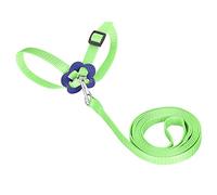 Pet Bird Harness and Leash, Adjustable Training Design Anti-Bit Parrot Nylon Leash, Outdoor Flying Training Rope Kit for Scarlet, Keck, Mini Macaw (Green)