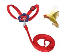 Pet Bird Harness and Leash, Adjustable Training Design Anti-Bit Parrot Nylon Leash, Outdoor Flying Training Rope Kit for Scarlet, Keck, Mini Macaw (Red)
