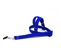 Pet Bird Parrot Harness and Leash, 2m Adjustable Bird Flying Harness, Training Design Anti-Bite, Bird Rope Supplies, Parrot Flight Rope, Elastic Bird Walking Rope, Outdoor Training Rope for Birds