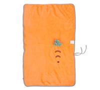 Pet Blanket, Dogs Cats Puppies Small Animals Soft Warm Fluffy Absorbent Velvet All Seasons Blanket for Kennels Beds (L)