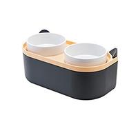 Pet Bowl With Food Container Kitten Double Bowl Feeder Small Dogs Feeding Double Bowl With Mixing Spoon Cats Puppies Double Layer Pet Bowl