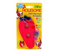 Pet Brands Fruity’s Holesome Fruit and Veg Carrot Treat for Small Animals