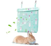 Pet Cage Ice Pack, Small Animal Cooler, Hangable Insulated Design, Reusable Chilling Plate, Safe Material, Perfect for Keeping Bunnies, Rodents and Guinea Pigs Cool Indoors